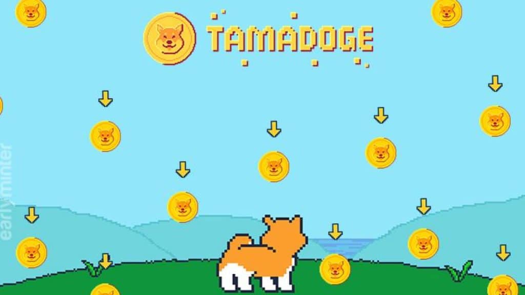 Tamadoge